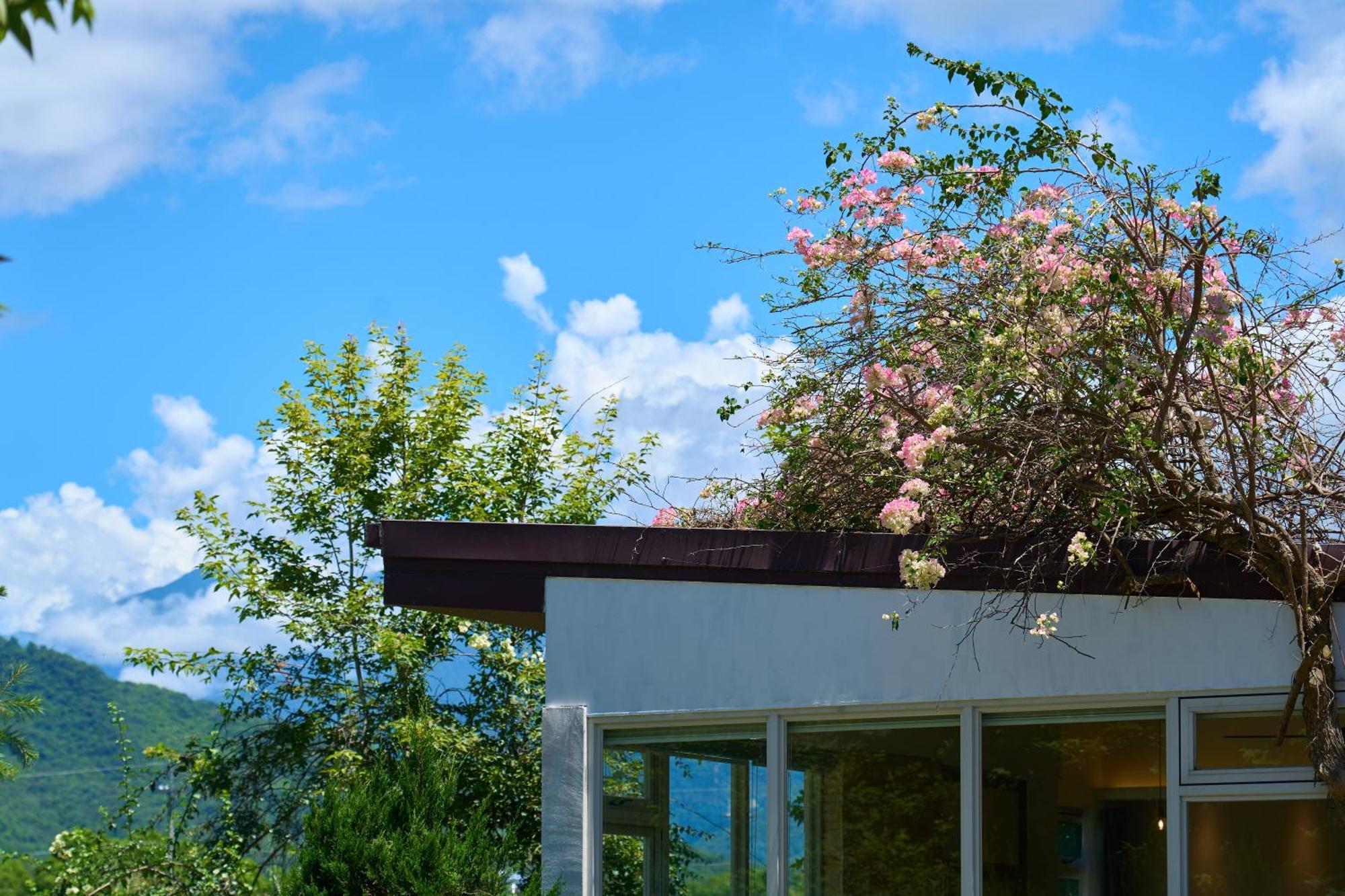 Owlstay Green Villa Pinghe Buitenkant foto